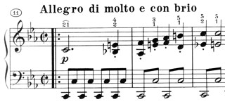 Beethoven_op.13_1.Satz_T11-13